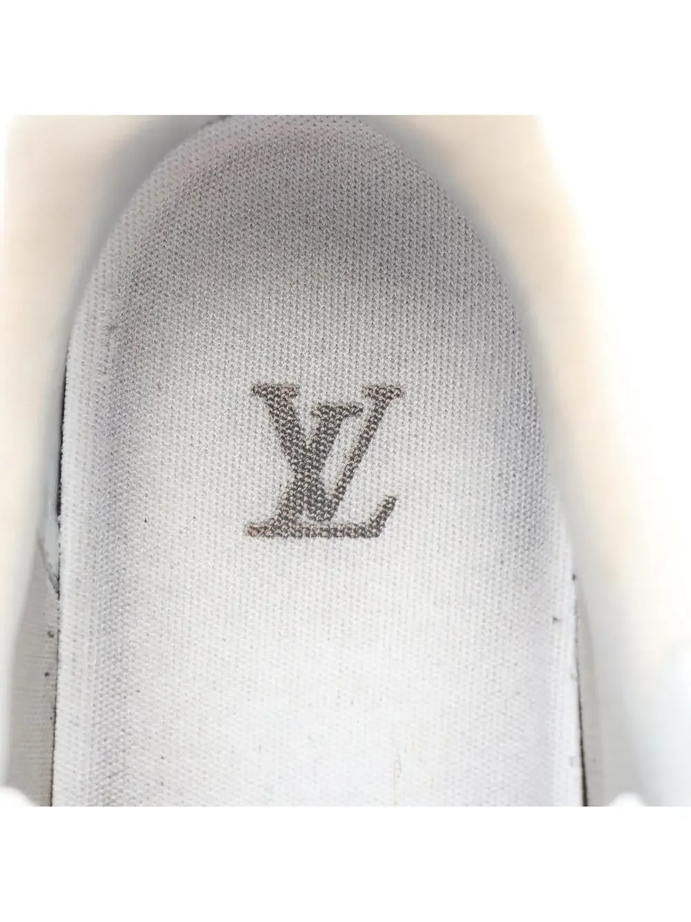 Louis Vuitton Lv Trainer Sneakers Shoes #360258L61B